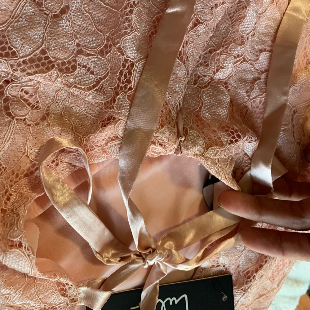 Lulu's Champagne Pink Lace Dress - Picture 4 of 4